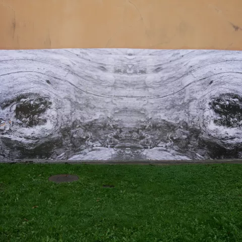 Les yeux de la forêt © Musée de l'Ancien Évêché