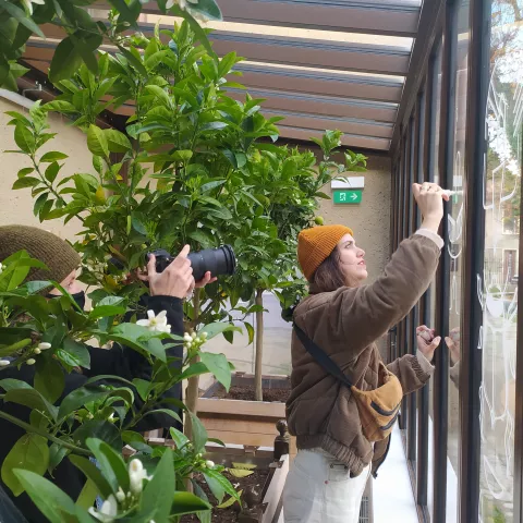 L'artiste Missismr dessinant sur la verrière de l'orangerie © Département de l'Isère/Musée Champollion