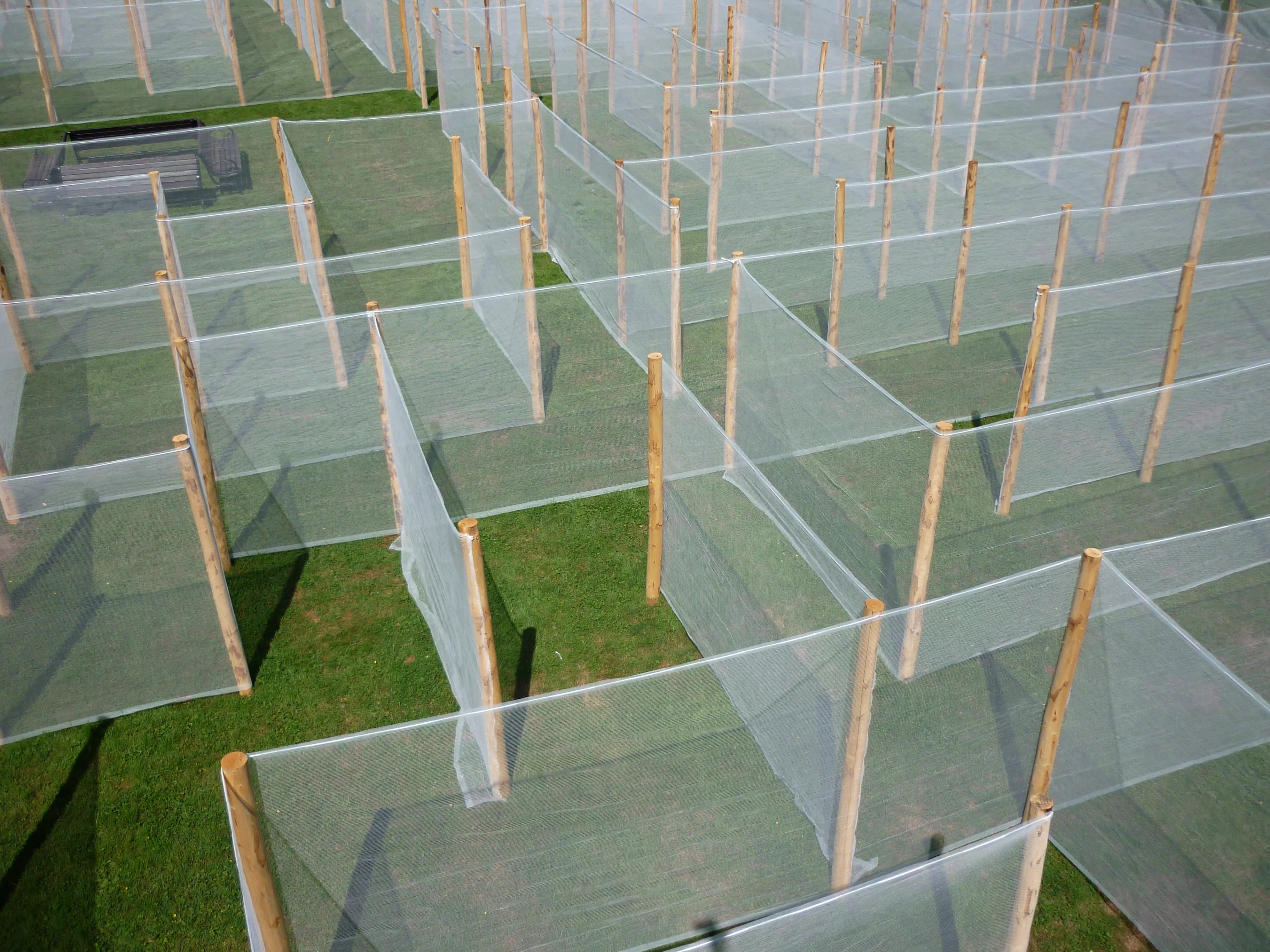 Installation Invitation au labyrinthe, chemins voilés dans le parc du Domaine de Vizille © ©Domaine de Vizille/Département de l'Isère Vue en couleurs de l'Installation Invitation au labyrinthe, chemins voilés dans le parc du Domaine de Vizille © ©Domaine de Vizille/Département de l'Isère