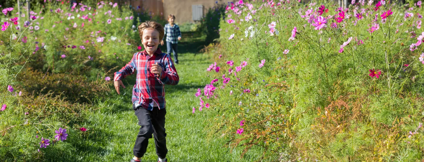 Un garçon souriant court dans le jardin fleuri du musée. © P. Jayet
