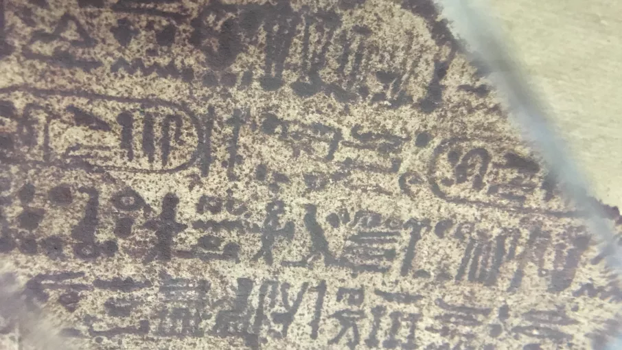 Détail de l'estampage de la pierre de Rosette à travers une loupe binoculaire. © © Chabauty-Annabelle