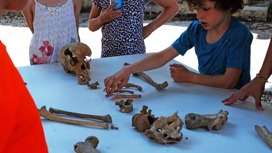 On est tombé sur un os