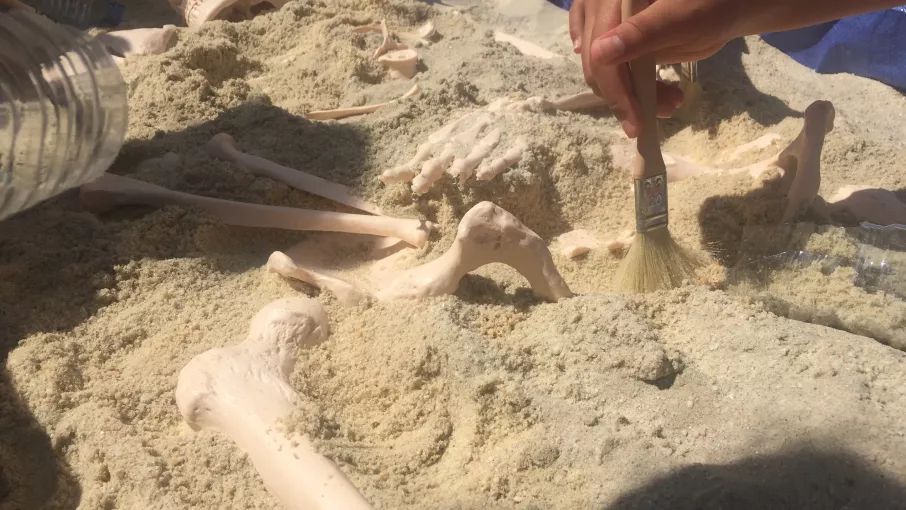 Il y a un squelette dans le jardin...