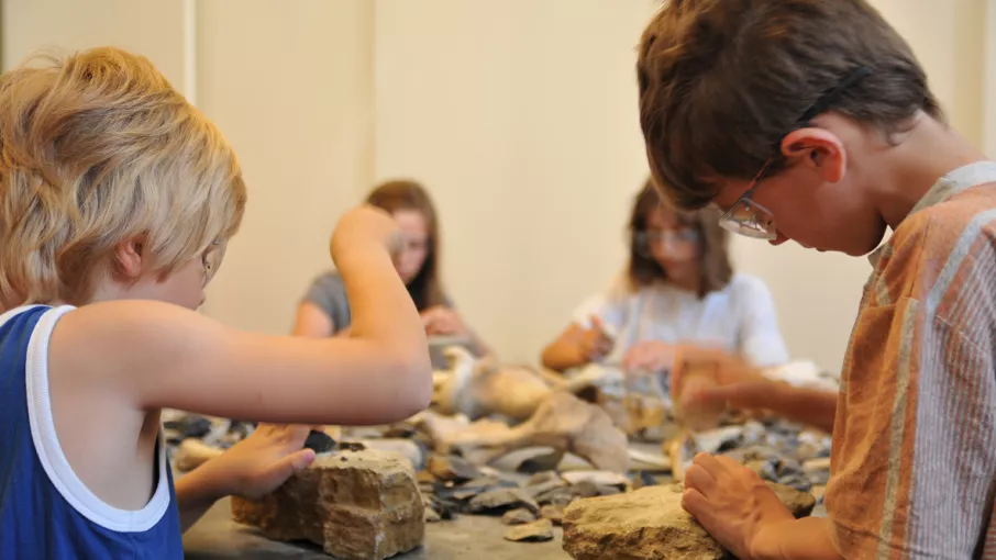 Au coeur de l'atelier Préhistoire © Musée de l'Ancien Evêché - V. Gaillard