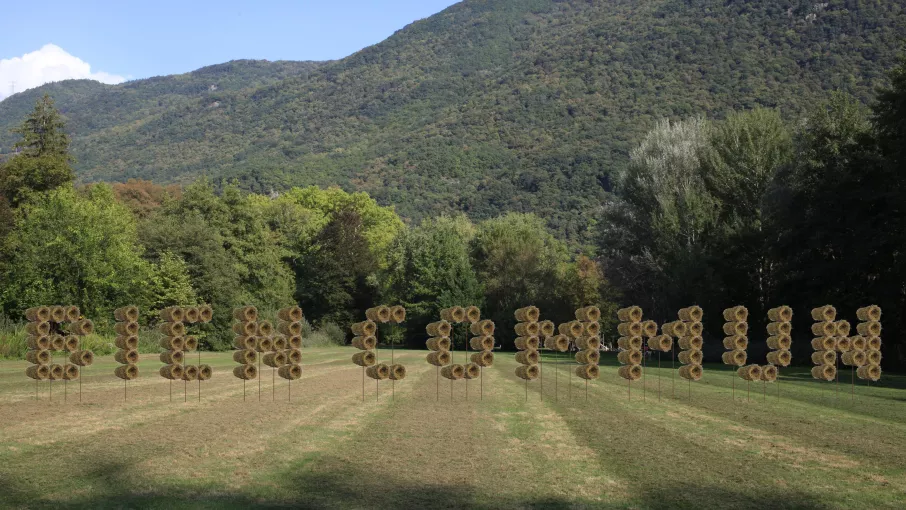 Simulation de Bien commun dans la prairie © Victoria Klotz