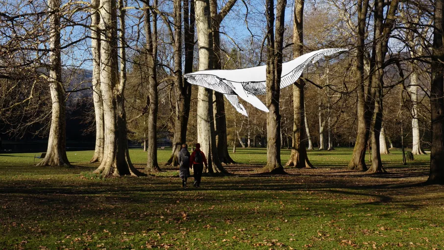 Simulation de Mémoire d'eau © Cyrille André