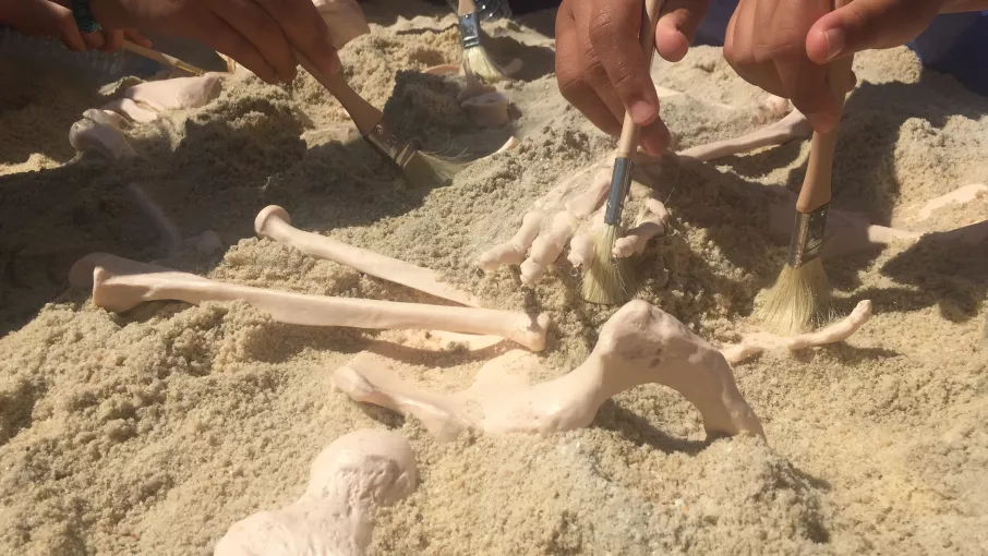 mains tenant pinceaux et peits instruments pour dégager des ossements