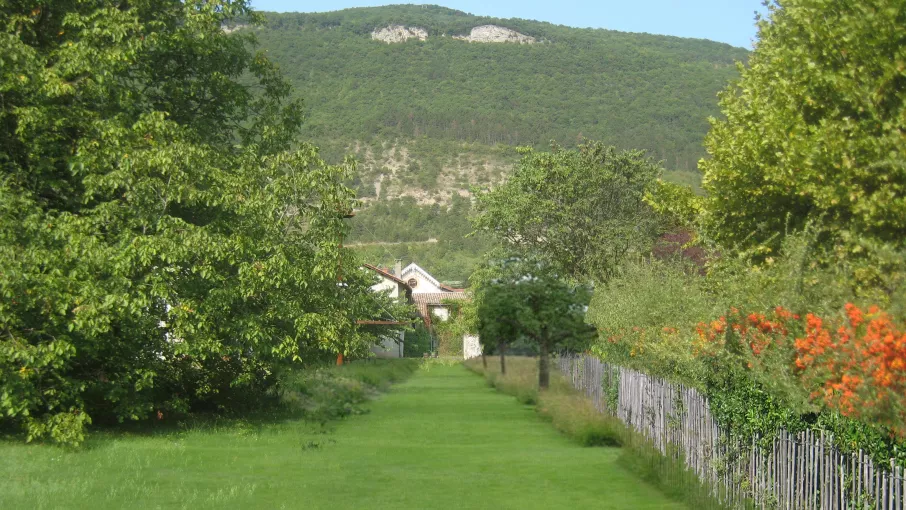 Projection d'aménagement du parc © Frédéric Reynaud