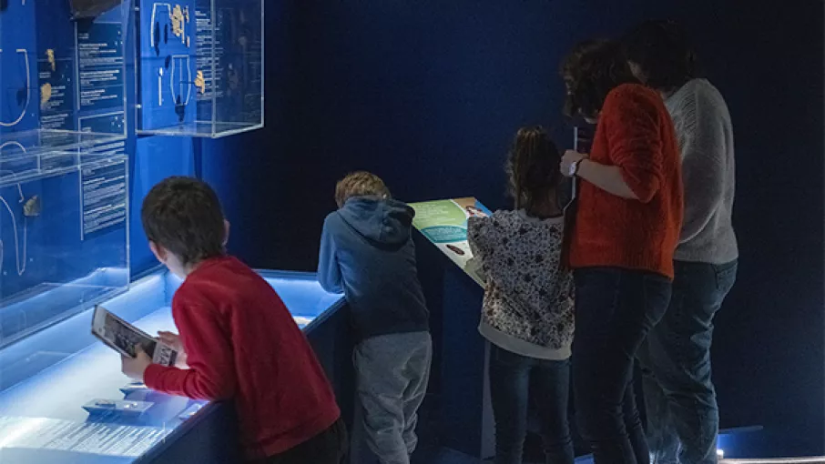 Photographie d'une famille lisant les cartels explicatifs d'une vitrine de l'exposition Alpins au musée dauphinois