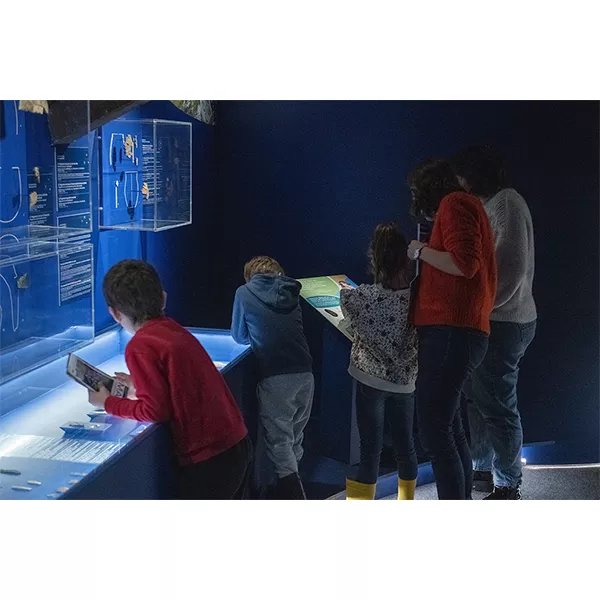 Photographie d'une famille lisant les cartels explicatifs d'une vitrine de l'exposition Alpins au musée dauphinois